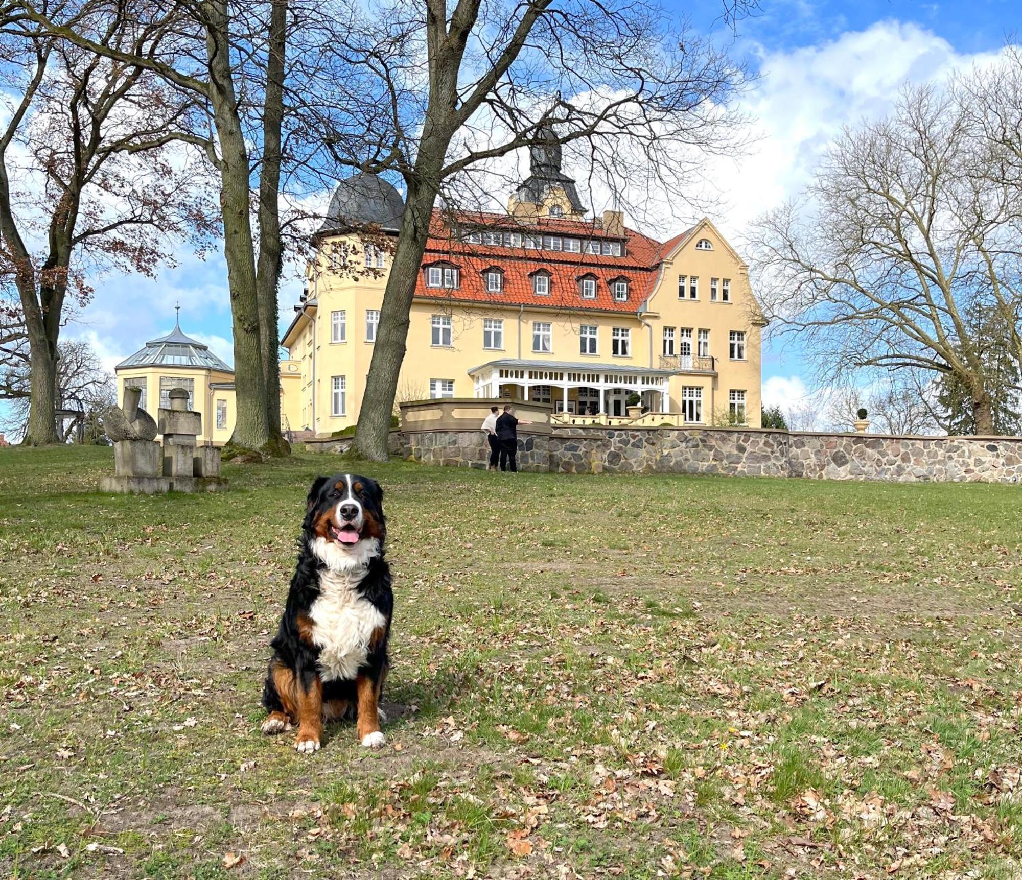 Bernsteinschloss Wendorf  Exteriér fotografie